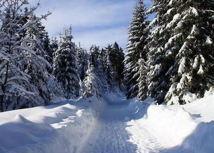 Appartement Haus Susanne